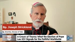 Bp. Strickland:  Od Leva XIII. k Levovi XIV. „Zakotvite sa vo svätej omši, najmä v tradičnej latinskej omši, kde sa tak krásne zachováva jasnosť doktríny a obeť kríža.“