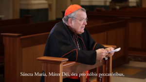 Panna Mária, Spoluvykupiteľka: Kardinál Burke obhajuje tradičný mariánsky titul